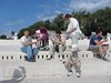 IMG_9246