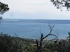 IMG_9900