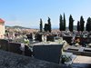 Img09953