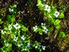 Alaska_Homer_Kajaky (52)