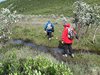 Alaska_Denali NP (89a)