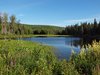 Nenana_Fairbanks_Chena Hot Springs_North Pole (138)