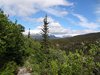 10_Alaska_Chilkoot trail (162)