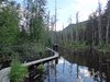 10_Alaska_Chilkoot trail (15)