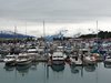 12_Alaska_Kluane_Burwash landing_Valdez (81)
