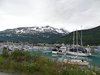 12_Alaska_Kluane_Burwash landing_Valdez (82)