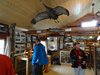 13_Alaska_Cooper Land_Wrangler (7)