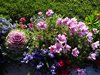 13_Alaska_Cooper Land_Wrangler (88)