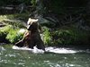 Alaska_Homer_Kajaky (0a)