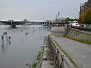P8100021.JPG