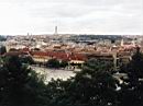 b8.jpg