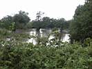 PICT0045.JPG