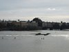P2258256