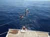 IMG_20190809_112849