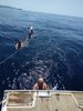 IMG_20190809_112855