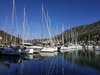 IMG_20190804_084224