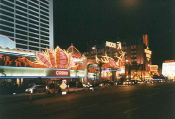 LV.jpg (33995 bytes)