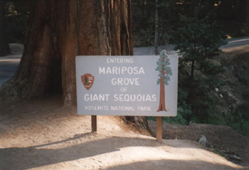 Mariposa.jpg (50935 bytes)