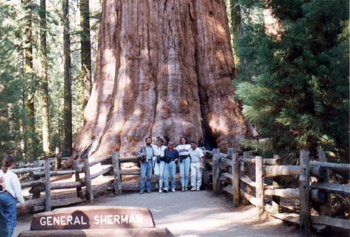 Seq3-Sherman.jpg (47067 bytes)