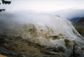 Yell-Terrace2.jpg (25612 bytes)