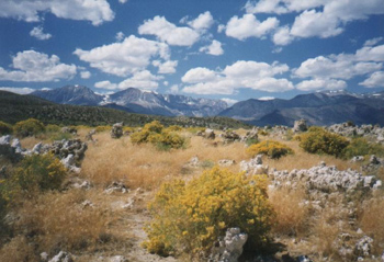 Mono Lake