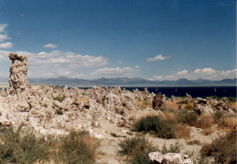 Mono Lake 2